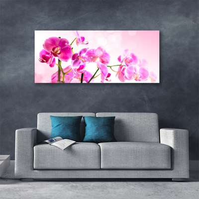 Photo sur toile Fleurs floral rose