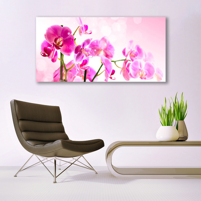 Photo sur toile Fleurs floral rose