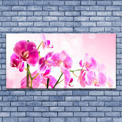 Photo sur toile Fleurs floral rose