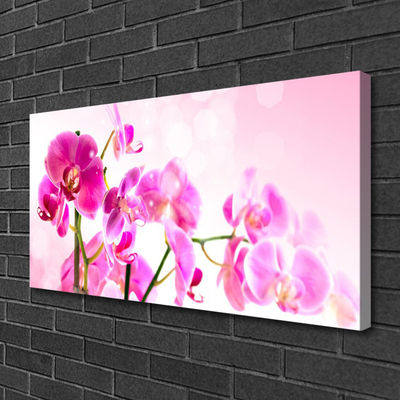 Photo sur toile Fleurs floral rose