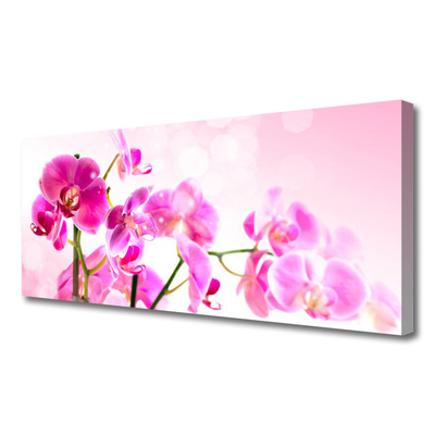 Photo sur toile Fleurs floral rose