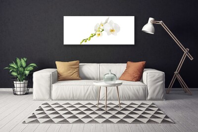 Photo sur toile Fleurs floral blanc