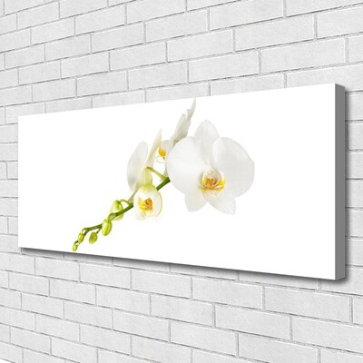 Photo sur toile Fleurs floral blanc