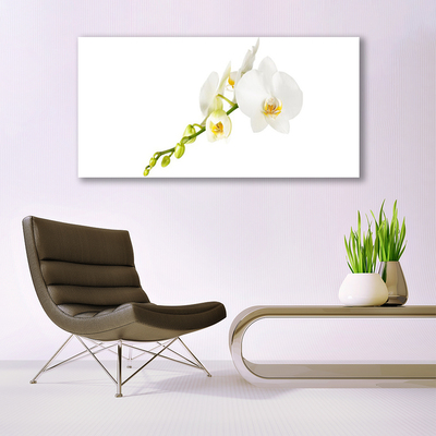 Photo sur toile Fleurs floral blanc