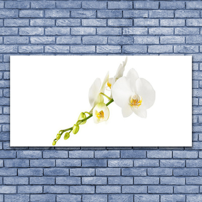 Photo sur toile Fleurs floral blanc