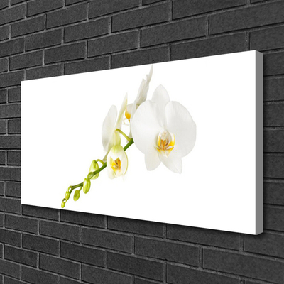 Photo sur toile Fleurs floral blanc