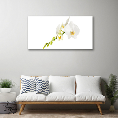 Photo sur toile Fleurs floral blanc