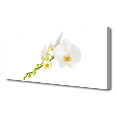 Photo sur toile Fleurs floral blanc