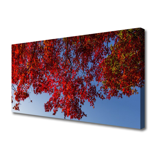 Photo sur toile Branches feuilles floral brun