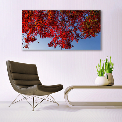 Photo sur toile Branches feuilles floral brun