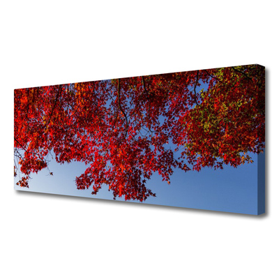 Photo sur toile Branches feuilles floral brun