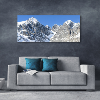 Photo sur toile Neige montagne paysage gris blanc