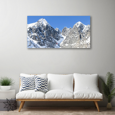 Photo sur toile Neige montagne paysage gris blanc