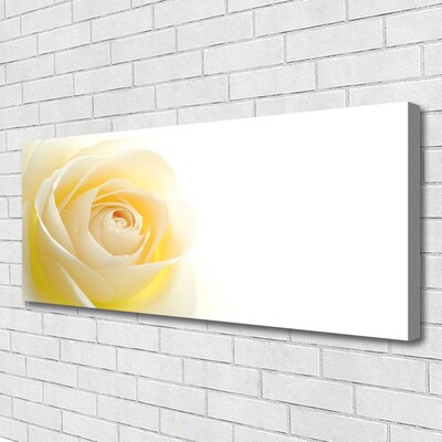 Photo sur toile Rose floral blanc jaune