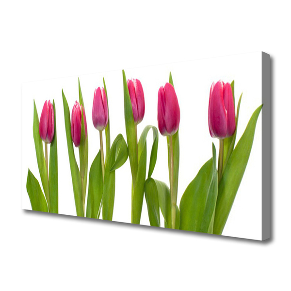 Photo sur toile Tulipes floral rouge