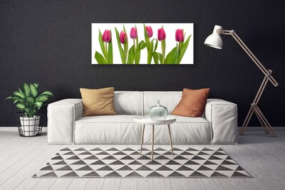 Photo sur toile Tulipes floral rouge