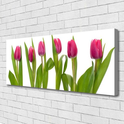 Photo sur toile Tulipes floral rouge