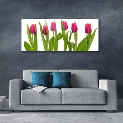 Photo sur toile Tulipes floral rouge