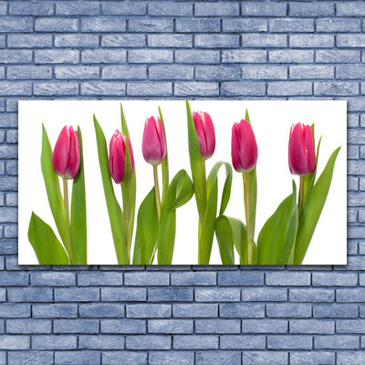 Photo sur toile Tulipes floral rouge