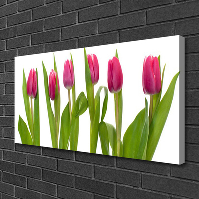 Photo sur toile Tulipes floral rouge