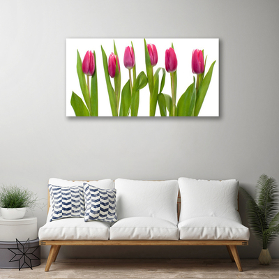 Photo sur toile Tulipes floral rouge