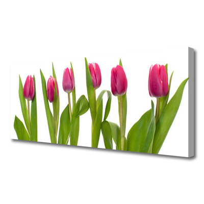 Photo sur toile Tulipes floral rouge