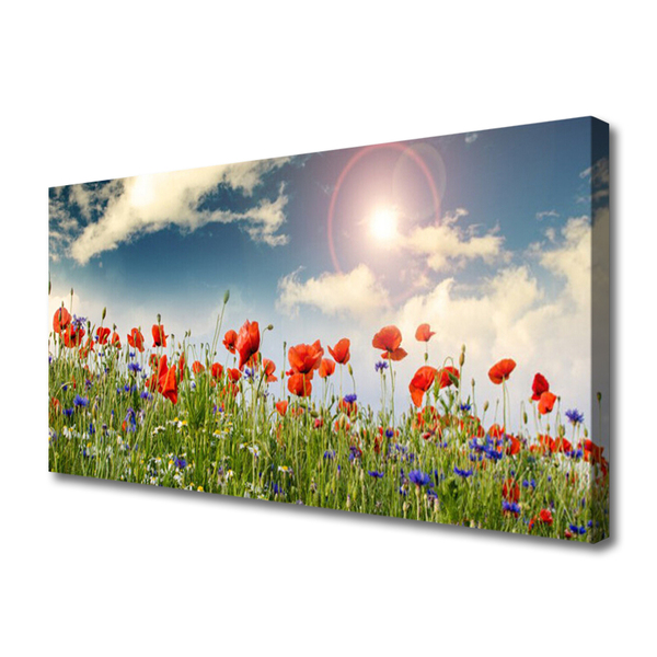 Photo sur toile Fleurs prairie nature vert rouge violet blanc