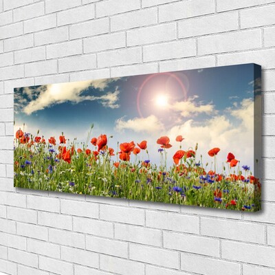 Photo sur toile Fleurs prairie nature vert rouge violet blanc