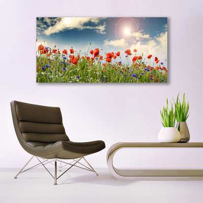 Photo sur toile Fleurs prairie nature vert rouge violet blanc