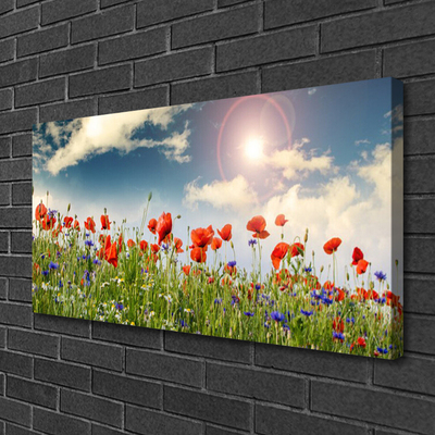 Photo sur toile Fleurs prairie nature vert rouge violet blanc