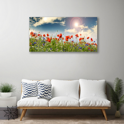 Photo sur toile Fleurs prairie nature vert rouge violet blanc