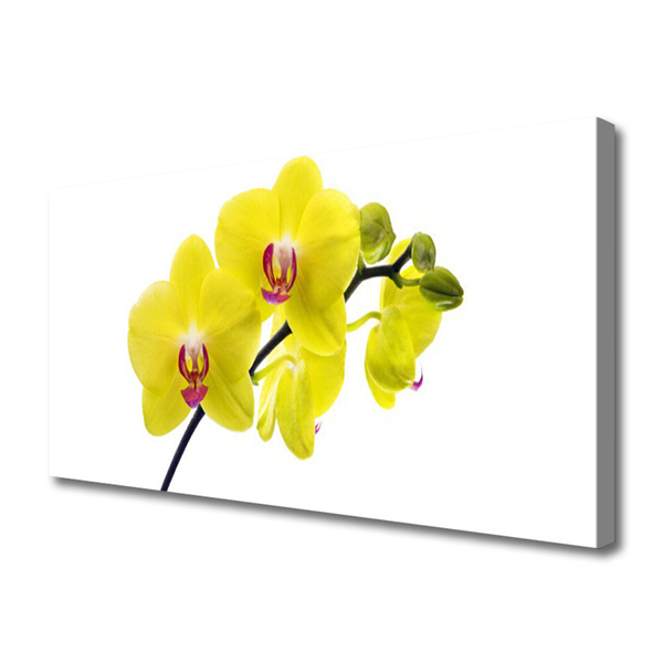 Photo sur toile Fleurs floral vert