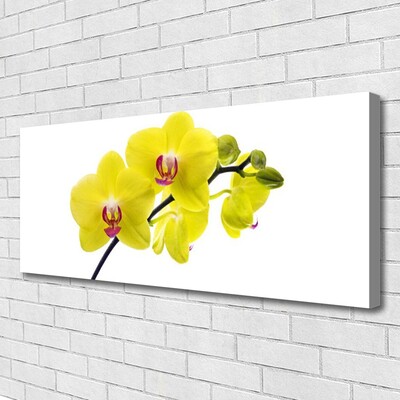 Photo sur toile Fleurs floral vert