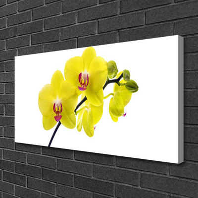 Photo sur toile Fleurs floral vert