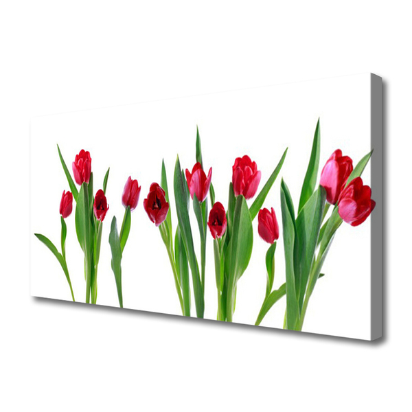 Photo sur toile Tulipes floral rouge