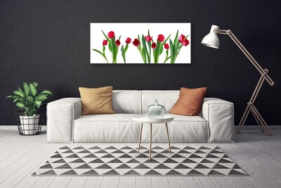 Photo sur toile Tulipes floral rouge