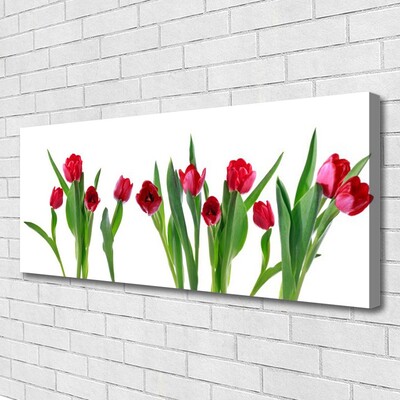 Photo sur toile Tulipes floral rouge