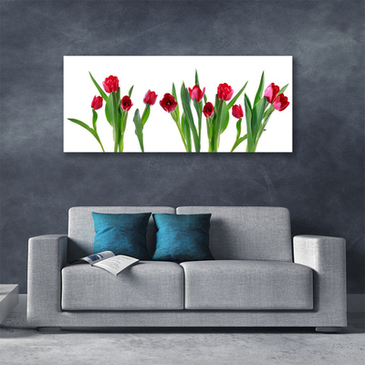 Photo sur toile Tulipes floral rouge