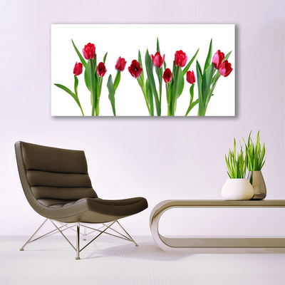 Photo sur toile Tulipes floral rouge