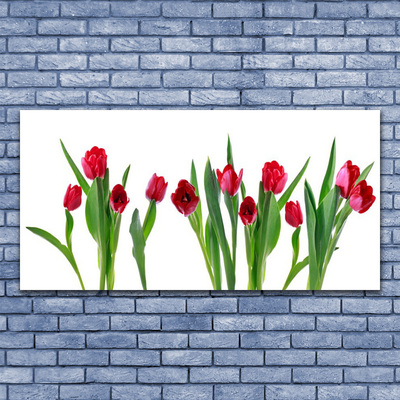 Photo sur toile Tulipes floral rouge