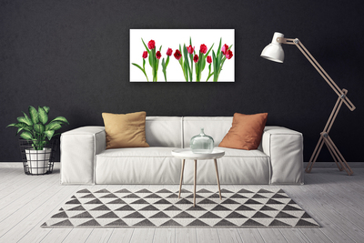 Photo sur toile Tulipes floral rouge