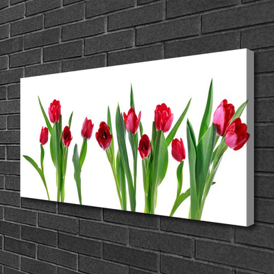 Photo sur toile Tulipes floral rouge