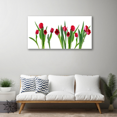 Photo sur toile Tulipes floral rouge