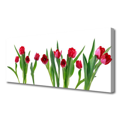 Photo sur toile Tulipes floral rouge