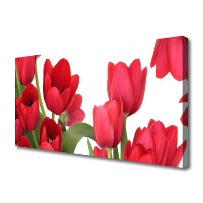 Photo sur toile Tulipes floral rouge