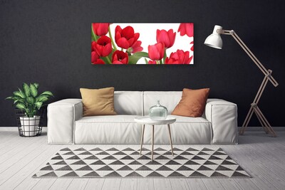 Photo sur toile Tulipes floral rouge