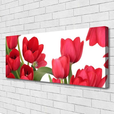 Photo sur toile Tulipes floral rouge