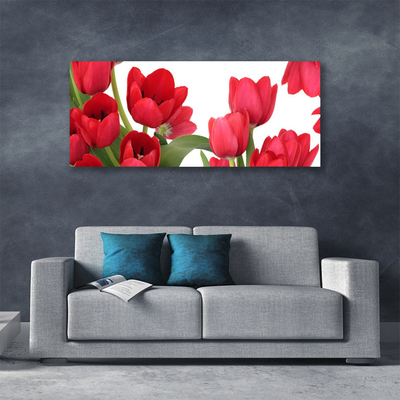 Photo sur toile Tulipes floral rouge