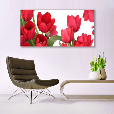 Photo sur toile Tulipes floral rouge