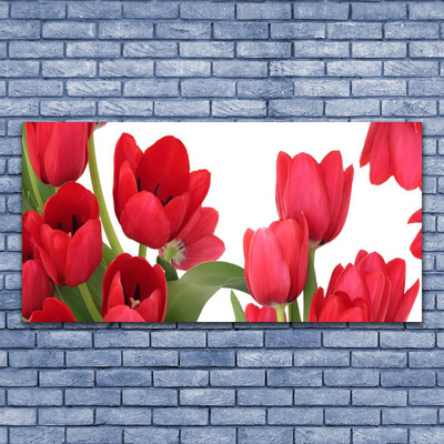 Photo sur toile Tulipes floral rouge